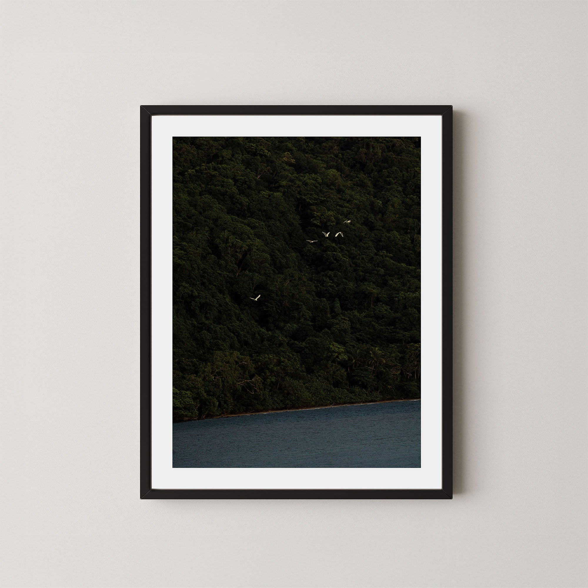 Daintree art print of a dark forest with birds and ocean in the Daintree, Australia, displayed on a wall in a black frame.
