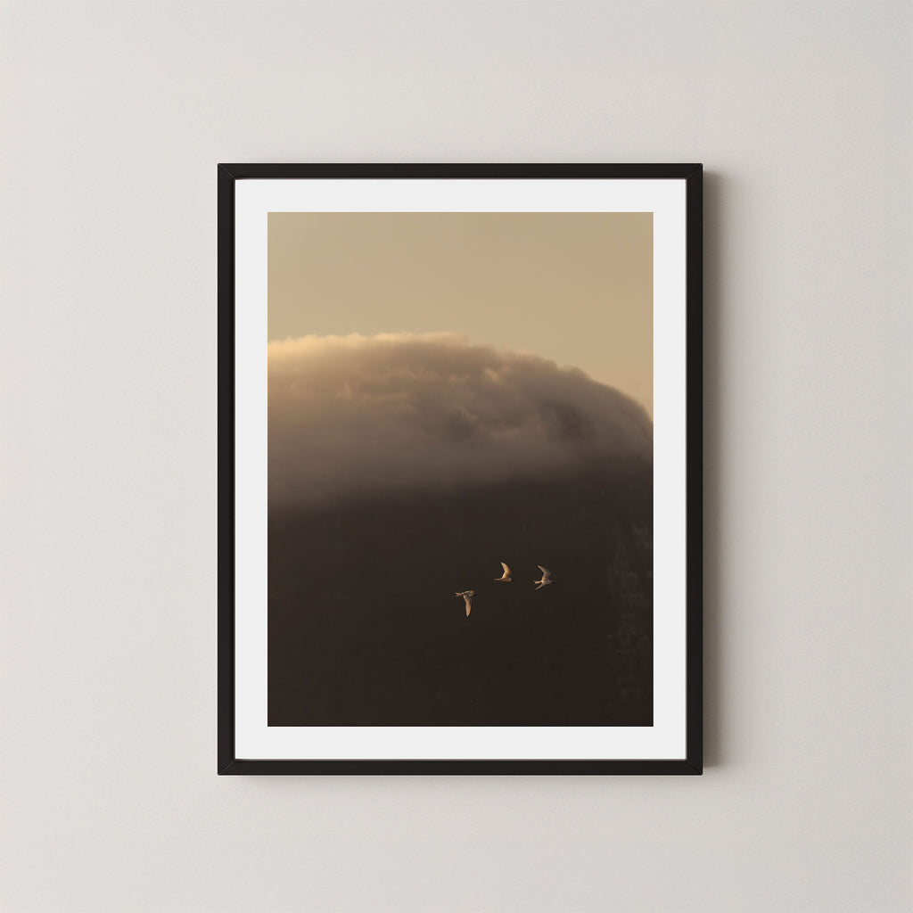 In the Clouds