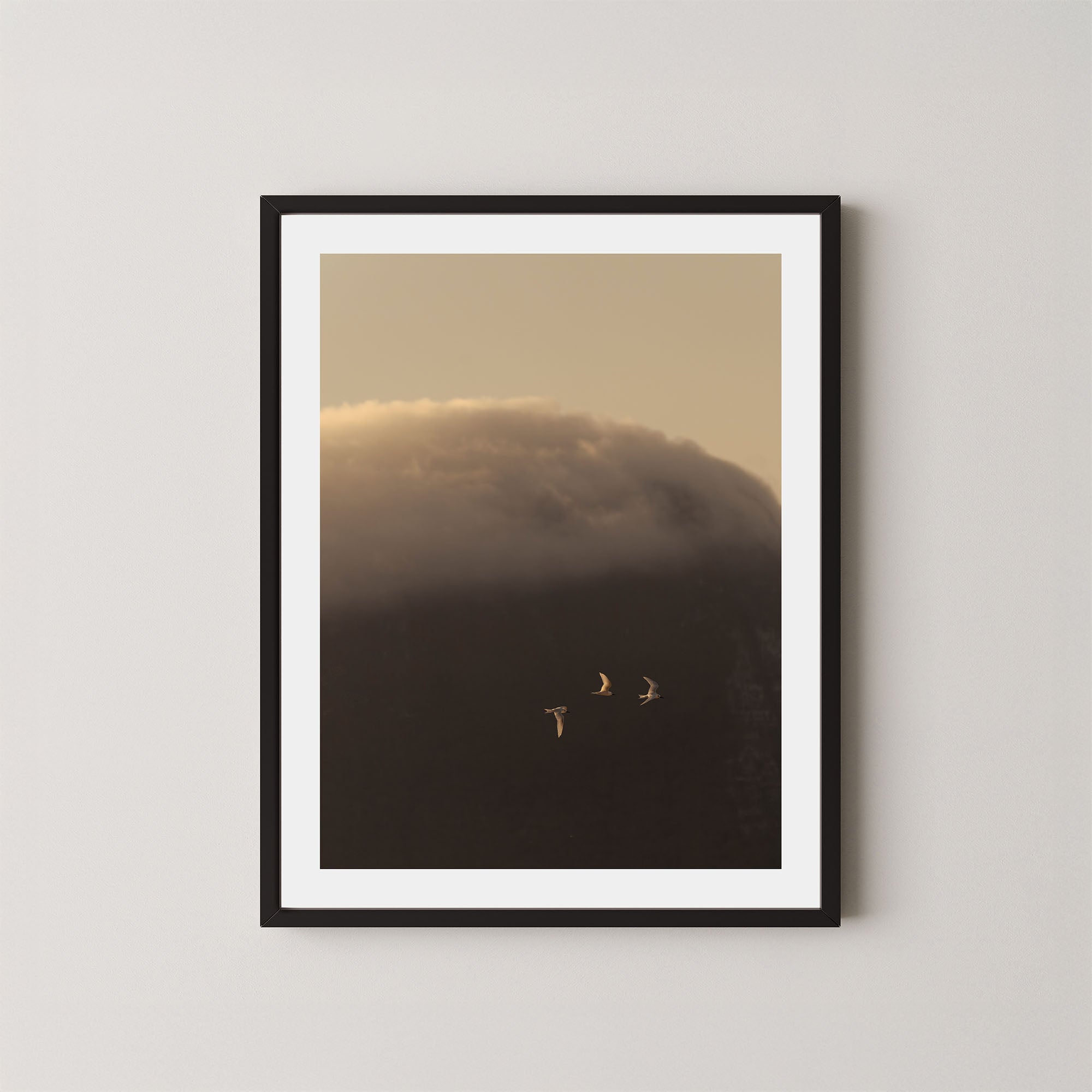 In the Clouds