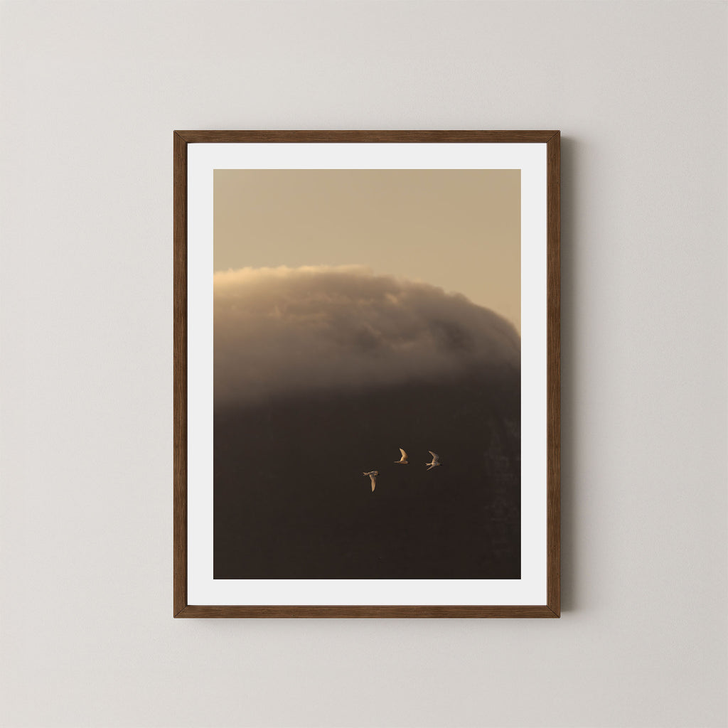 In the Clouds