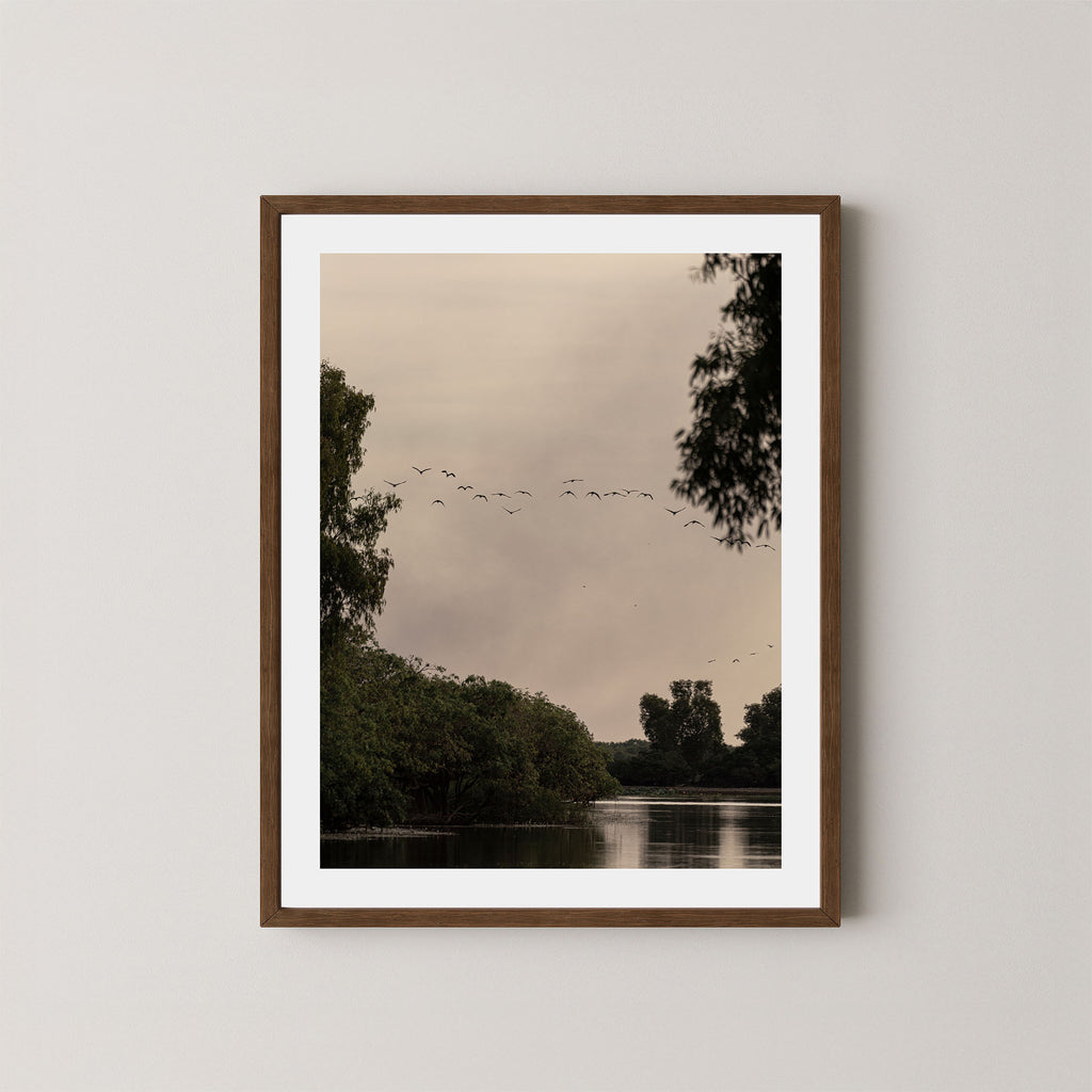 Kakadu