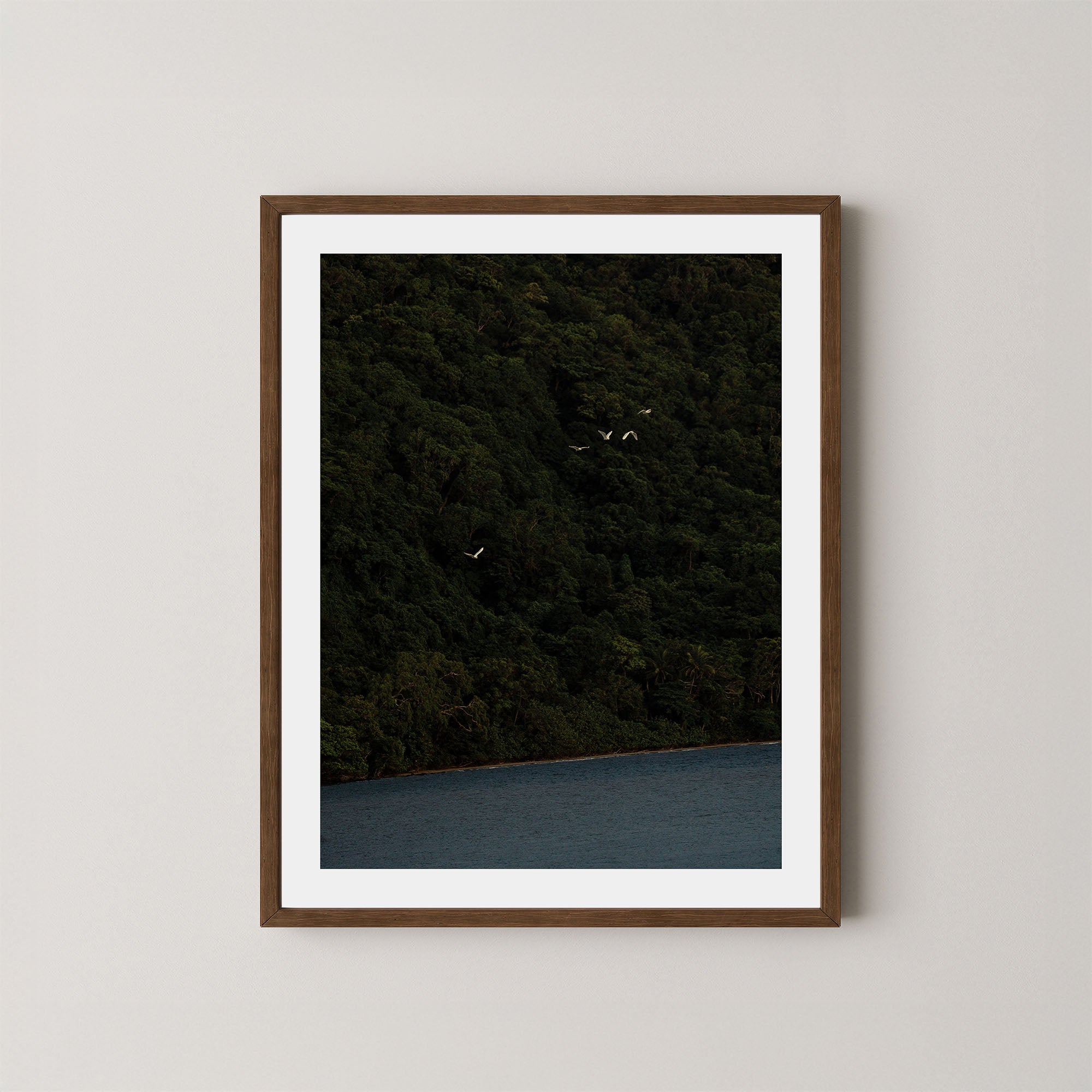 Daintree art print of a dark forest with birds and ocean in the Daintree, Australia, displayed on a wall in a dark wooden frame.