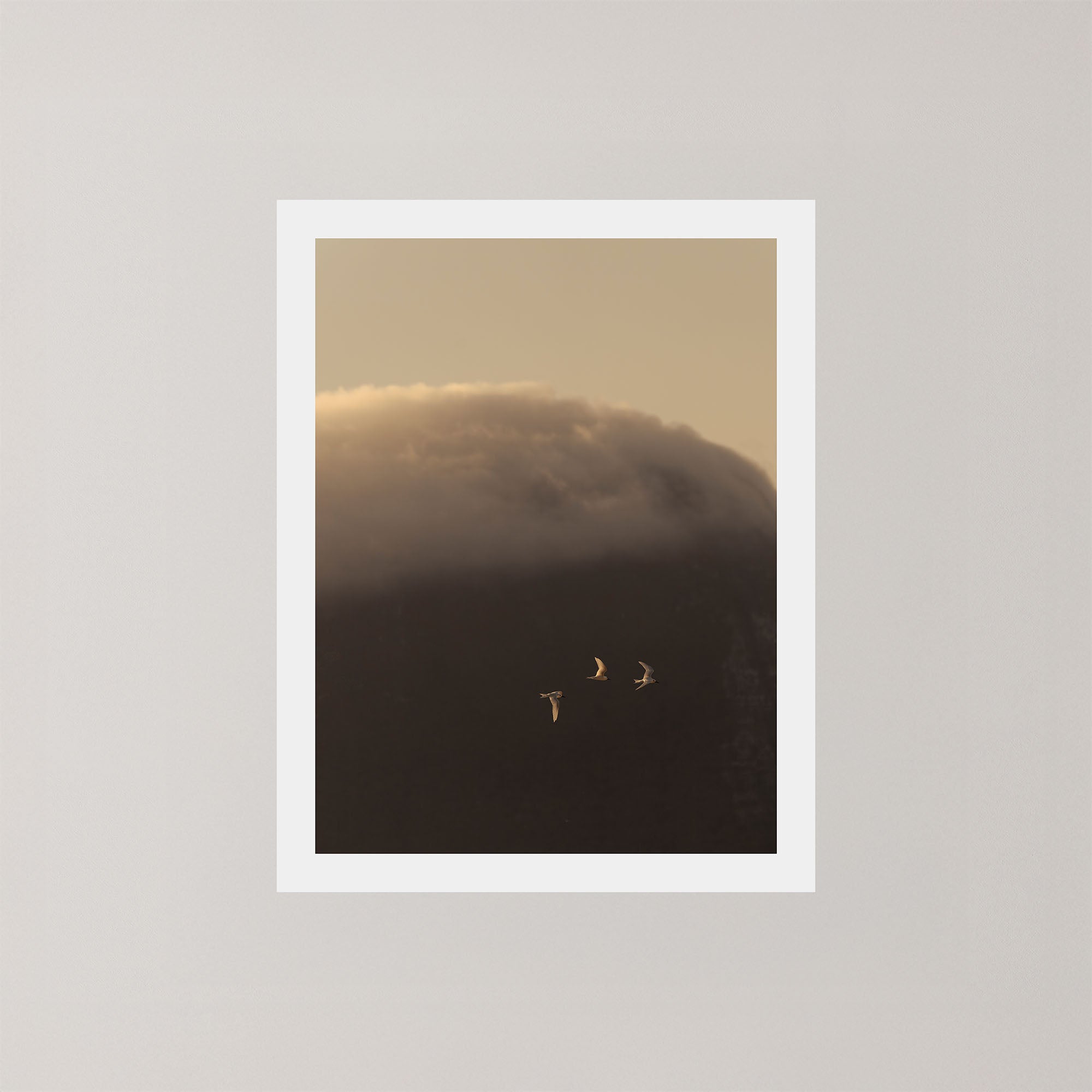 In the Clouds