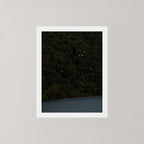 Daintree photography art print of a dark forest with birds and ocean in the Daintree, Australia, displayed on a wall.