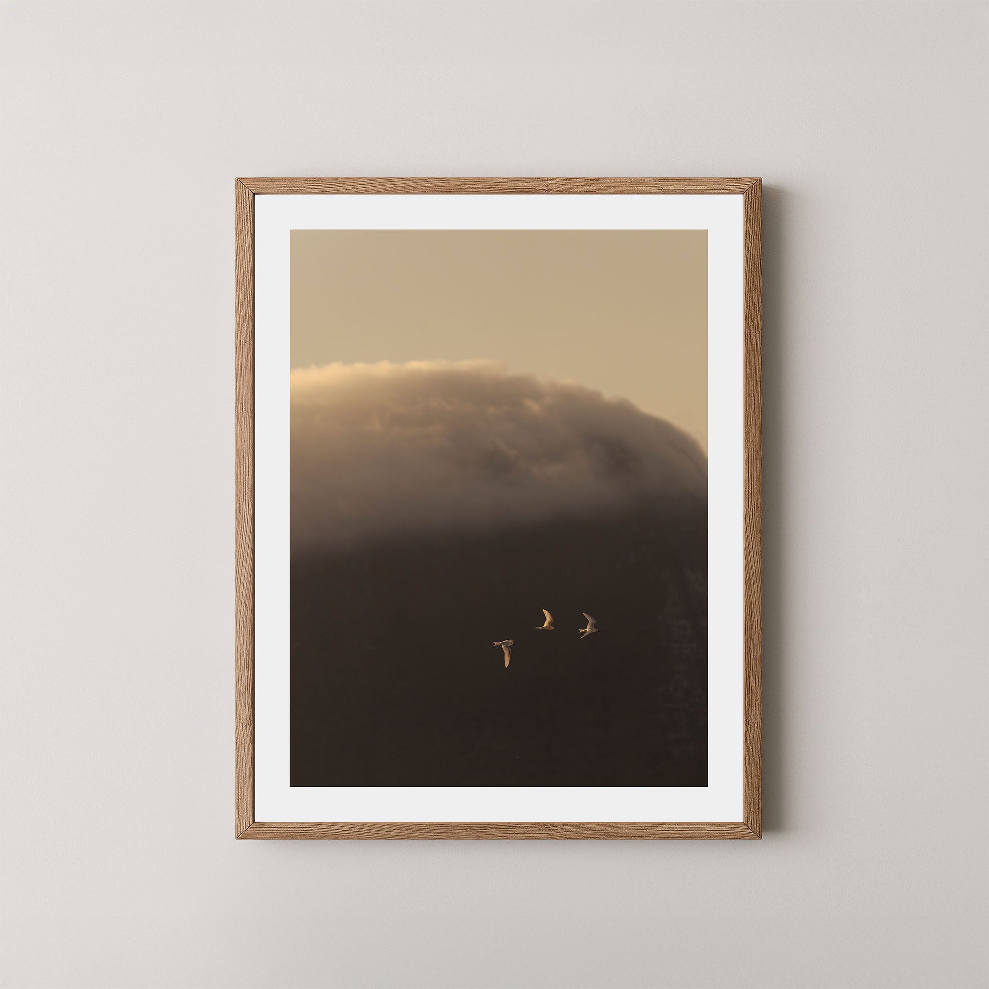 In the Clouds