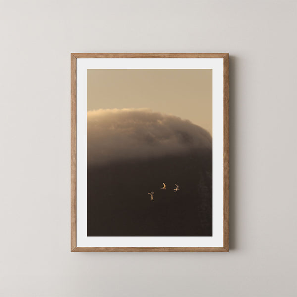 In the Clouds