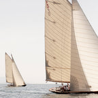 Sails VIII