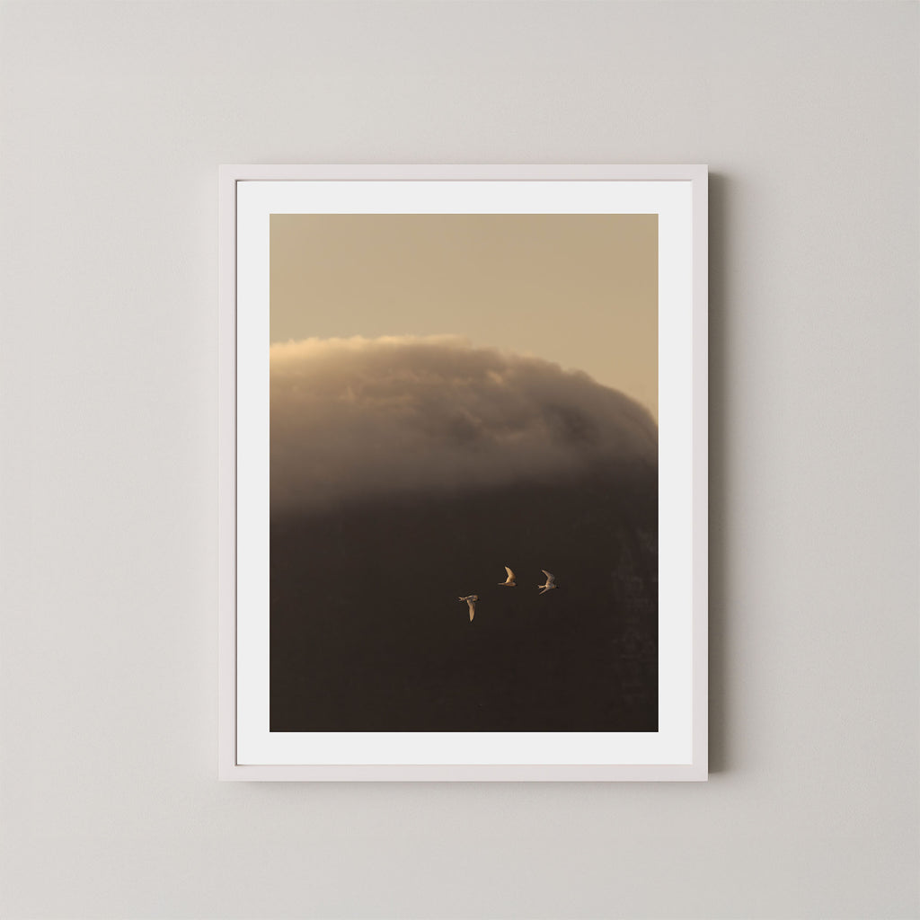 In the Clouds