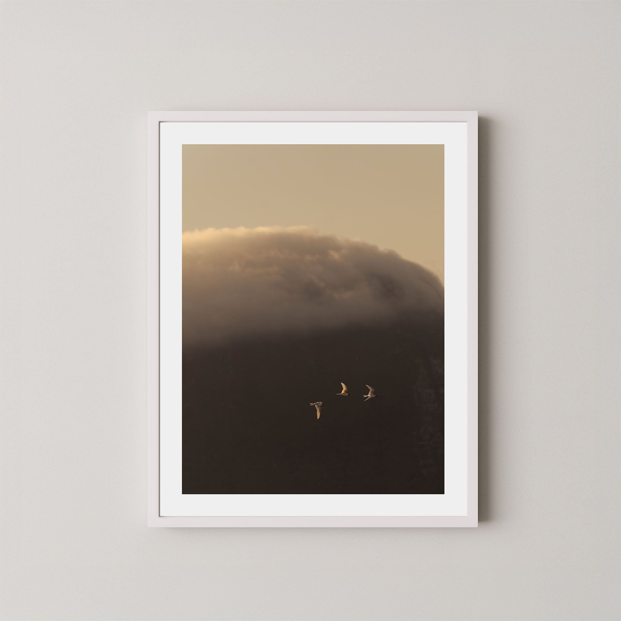 In the Clouds