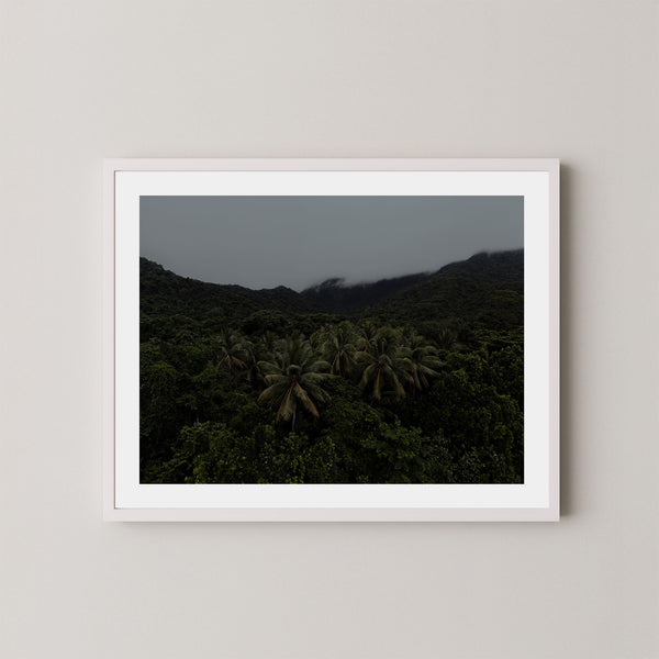 Canopy