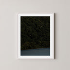 Daintree art print of a dark forest with birds and ocean in the Daintree, Australia, displayed on a wall in a white frame.